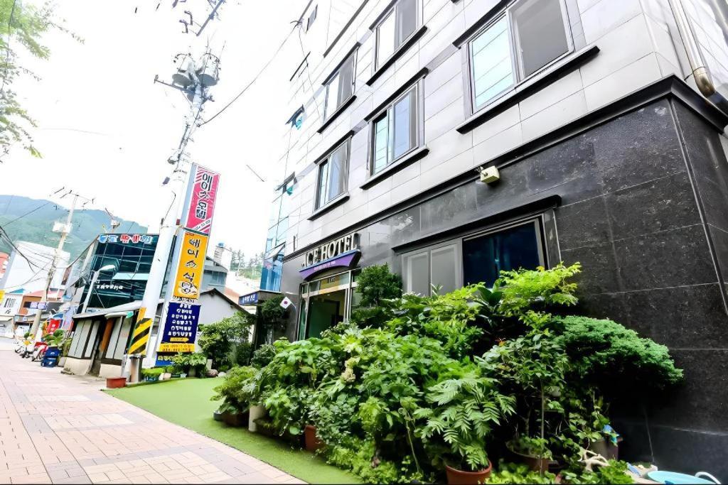 Ace Hotel Ulleung ภายนอก รูปภาพ